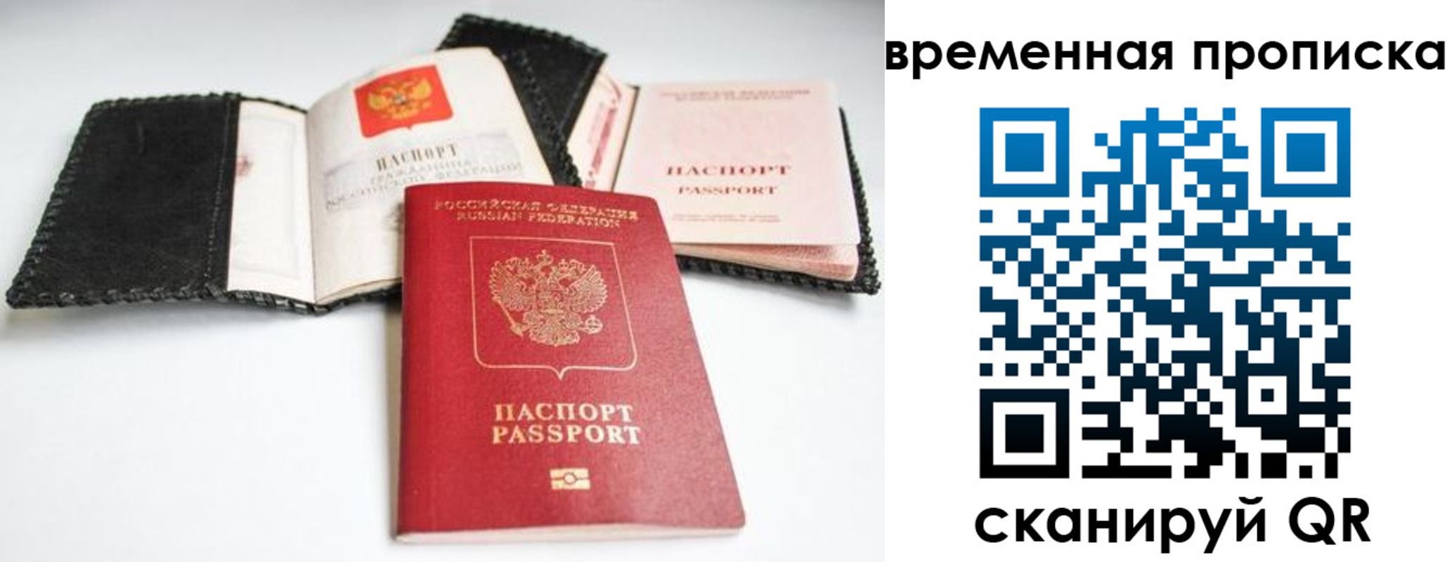 прописка для школы в Губкинском